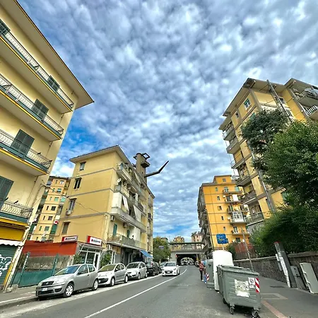 Graziosa Home-2